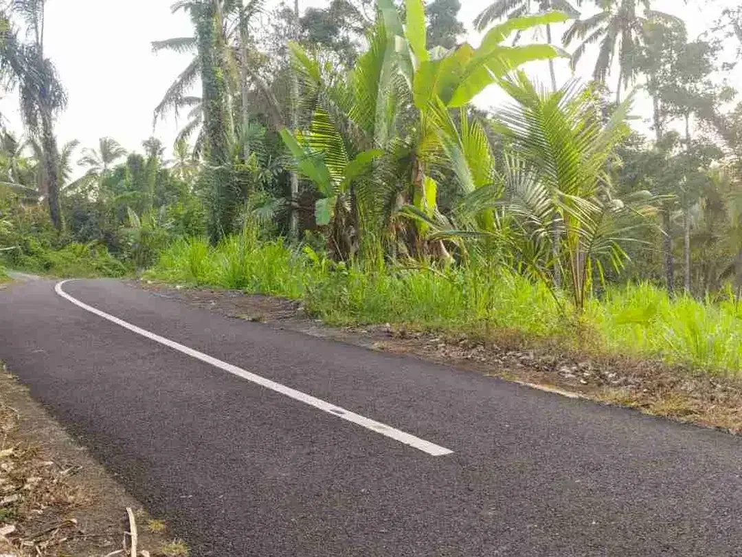 jual tanah kebun view sawah lembah dengan sunset yang cantik di tabanan bali - Image 6 of 10