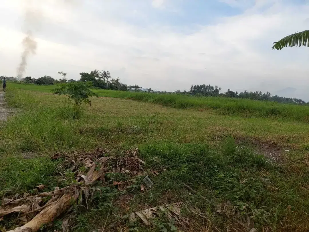 Tanah Potensial untuk Kavling Villa atau Villa Pribadi - Image 1 of 2