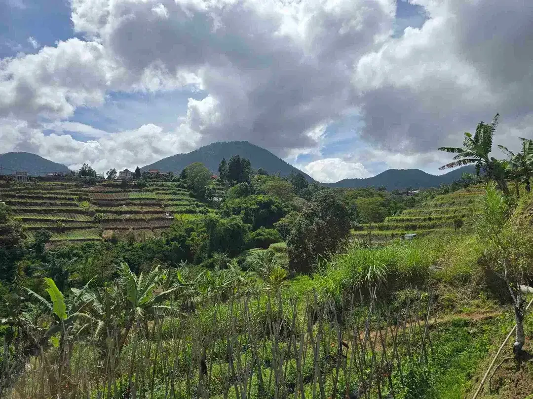 Dijal tanah murah view gunung laul dan lembah di bedugul bali - Image 1 of 10