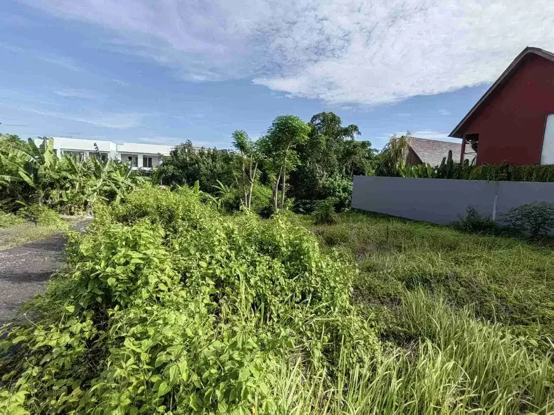 Tanah Premium Jl Ambengan Shortcut Canggu - Image 9 of 10