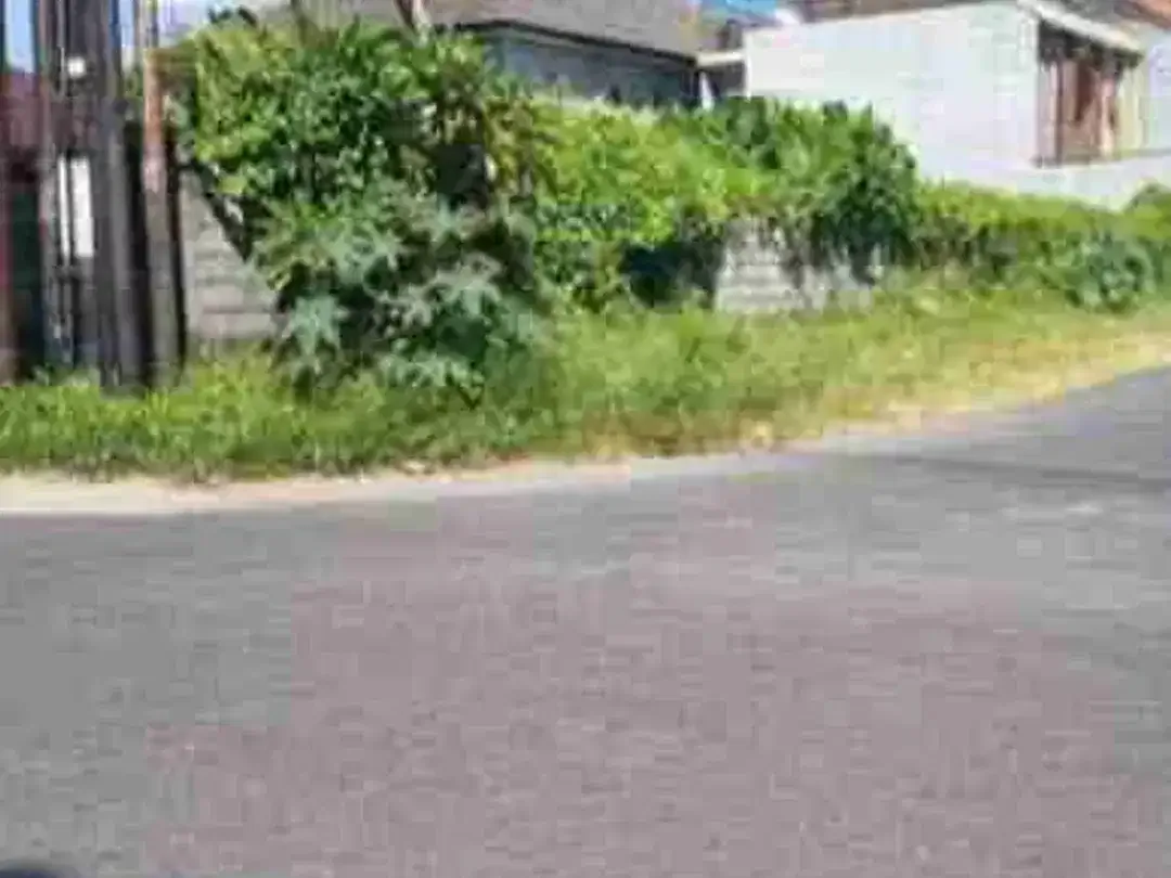 TANAH PREMIUM BADAK AGUNG 100 METER DARI JALAN UTAMA COK AGUNG TRESNA RENON SUDAH TEMBOK KELILING - Image 4 of 10