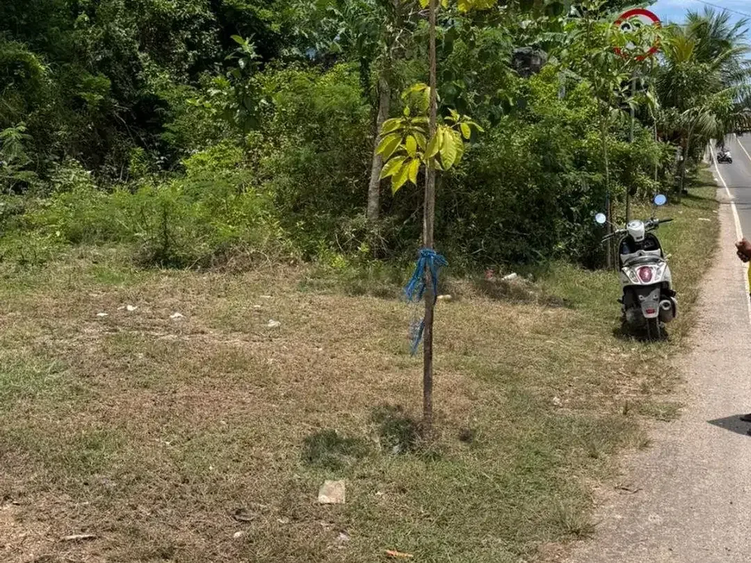 TANAH STRATEGIS PINGGIR JALAN UTAMA ULUWATU PECATU - Image 4 of 4