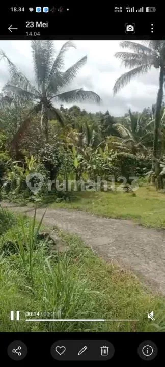 Jual Tanah Kebun Durian Murah di Pedesaan yang Sejuk Peruntukan Perumahan - Image 4 of 4