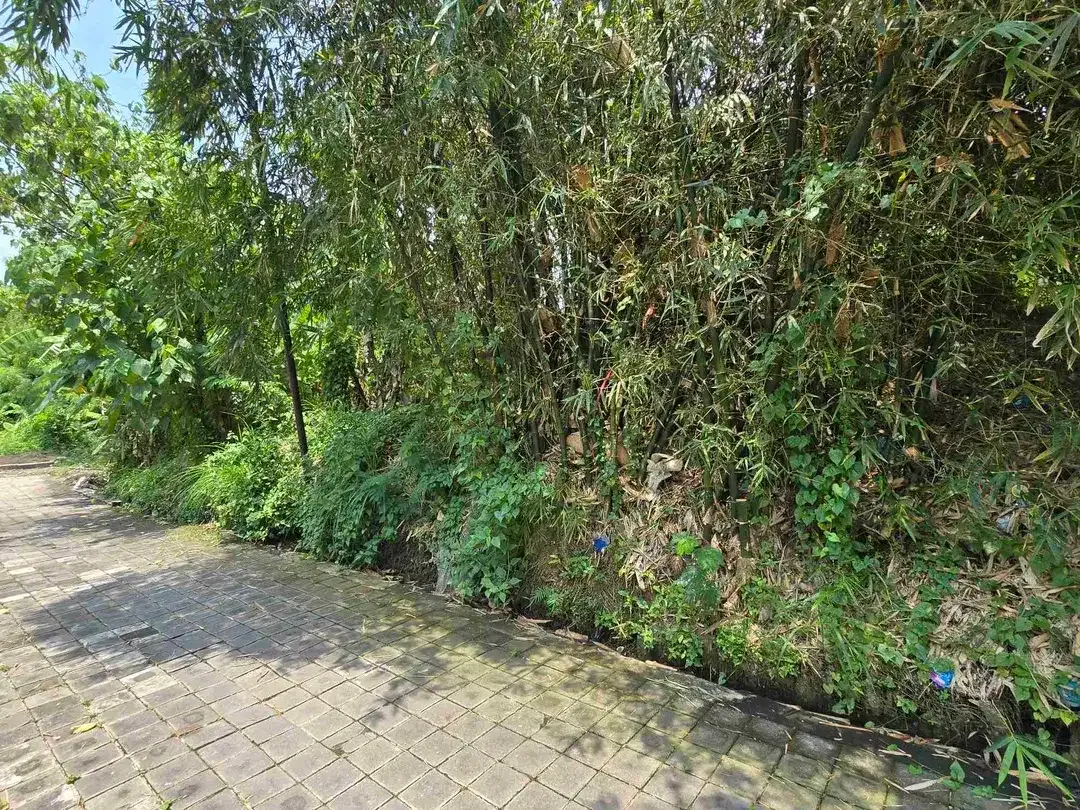 DIJUAL TANAH CANGGU PADANGLINJONG - Image 7 of 9