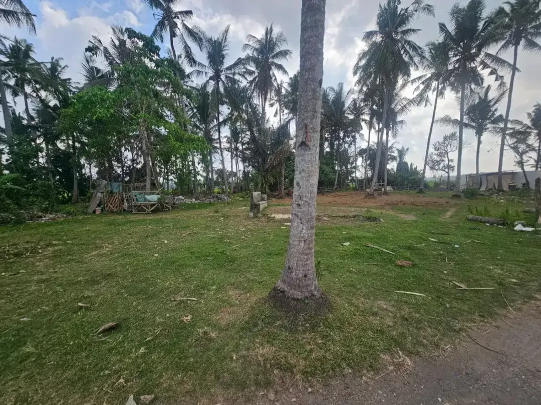 Dijual tanah ada pohon kelapa lokaso ciputra pangkung tibah tabanan Lingkungan villa - Image 4 of 5