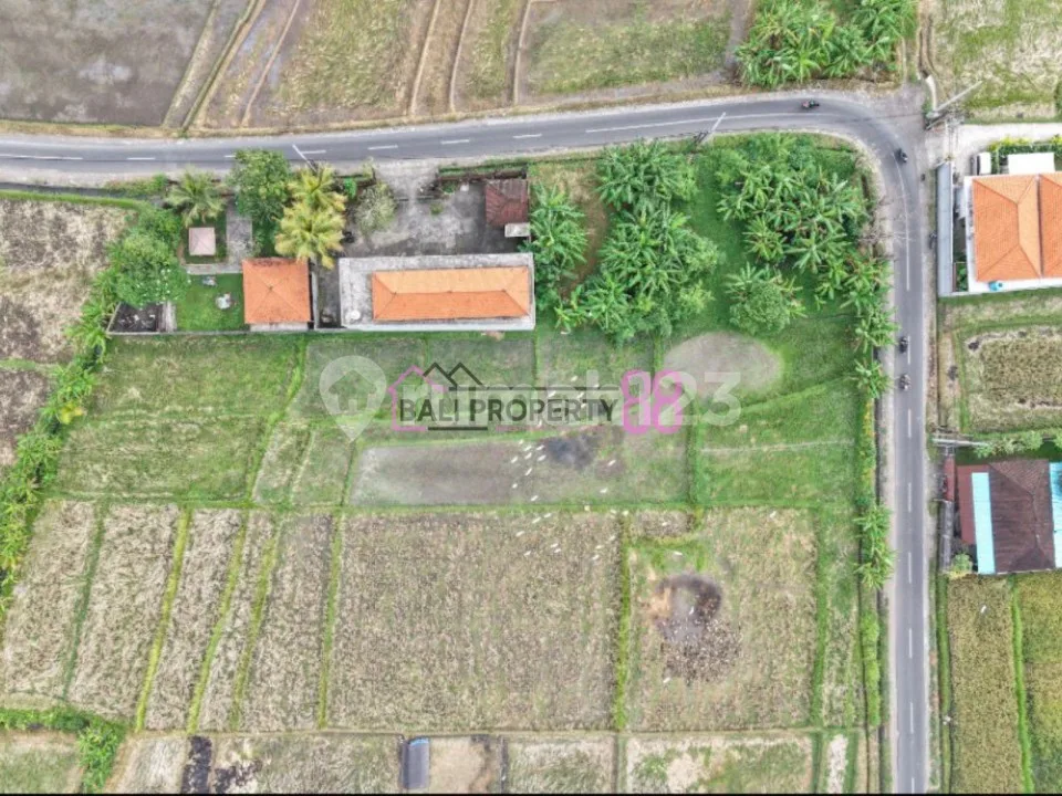 Jual Tanah Kavling Beraban Kedungu Utara LT 100 M2 - Image 2 of 4