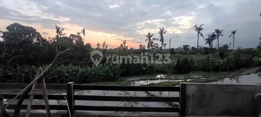 Rumah Minimalis Modern 2 Lantai Semi Furnished di Sempidi - Image 4 of 4
