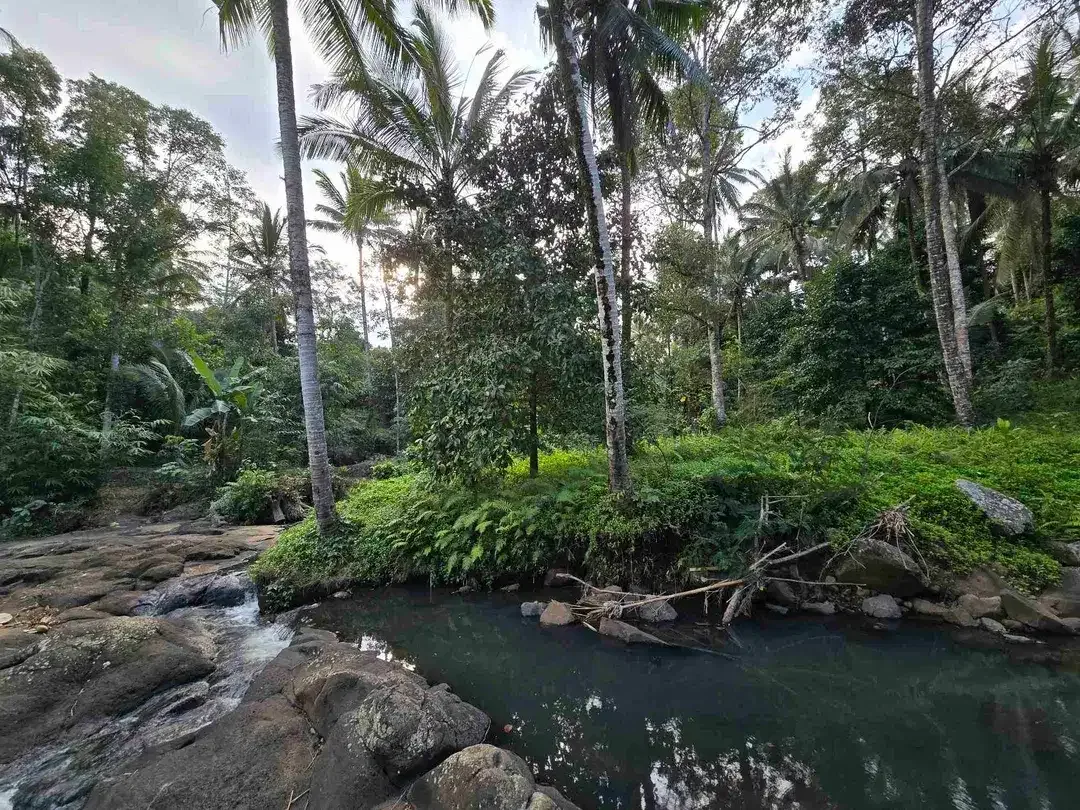Murah tanah los sungai bebatuan kebun manggis dan durian siap panen di bali - Image 2 of 10