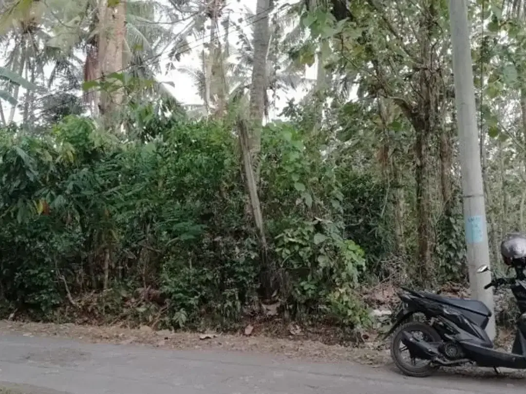 Tanah Zona Kuning view sungai dekat Kelecung Tabanan Bali - Image 3 of 4