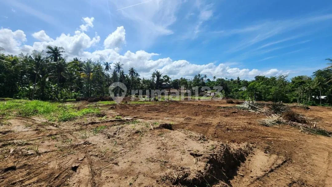 Dijual Tanah Kavling Area Blahbatuh Gianyar Dekat ke Sanur Bali - Image 2 of 4