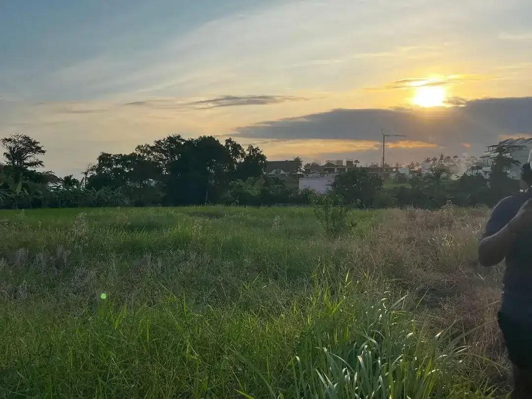 Land for sale in Mengwi, Bali - Image 3 of 4