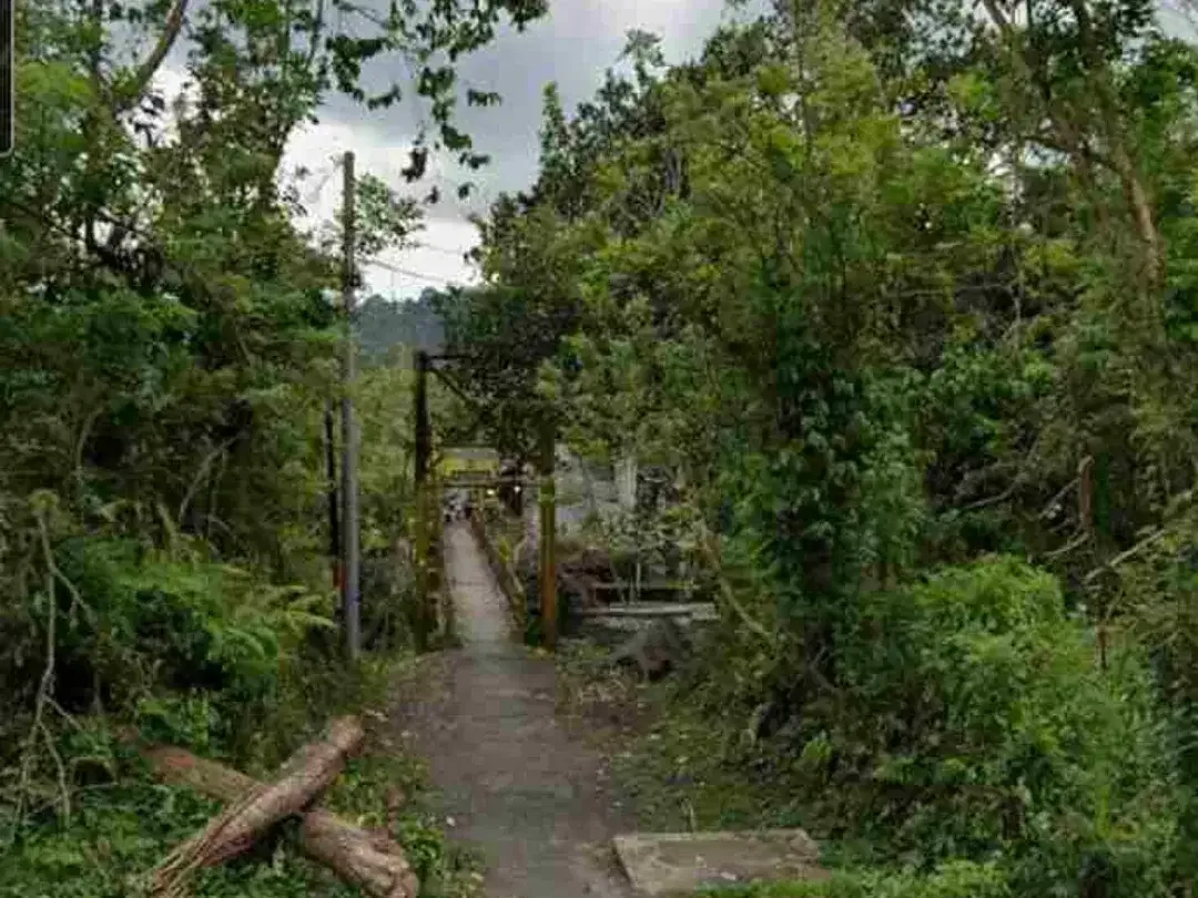 Land 2ha for Sale at Sidemen Traditional Village Bali - Image 9 of 10