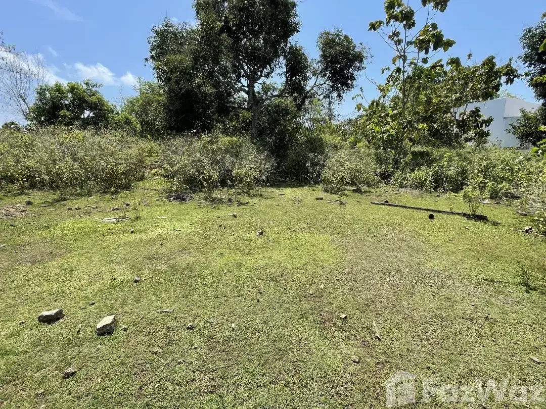 Land for sale in Balangan, Bali - Image 2 of 6
