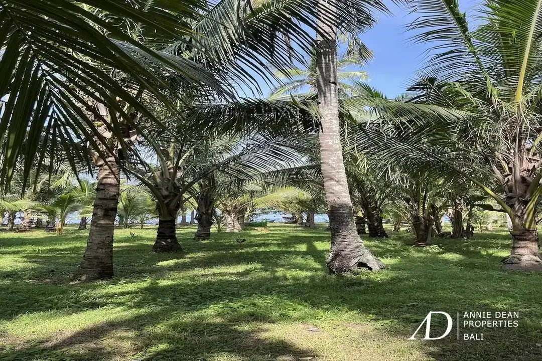 FREEHOLD LAND FOR SALE IN PANTAI MELAYA, JEMBRANA (257 ARE) - Image 7 of 9