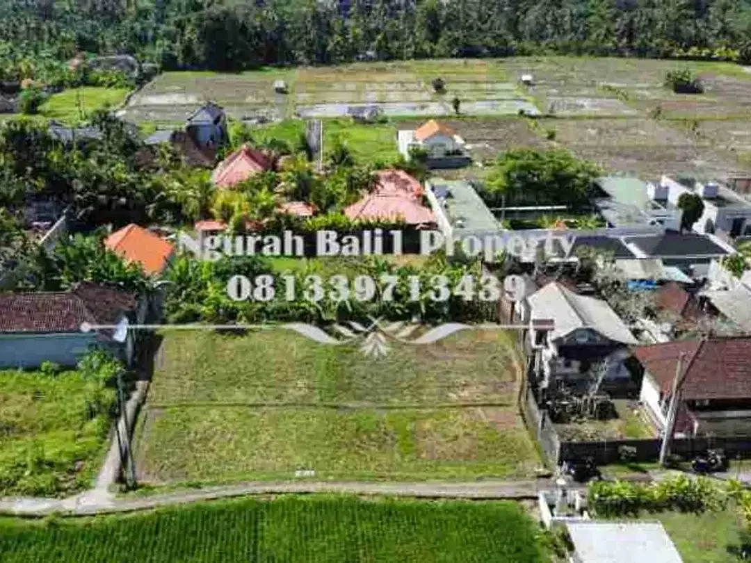 Land For Rent Murah Luas 1300 m2 Kawasan Villa di Ubud - Image 3 of 6