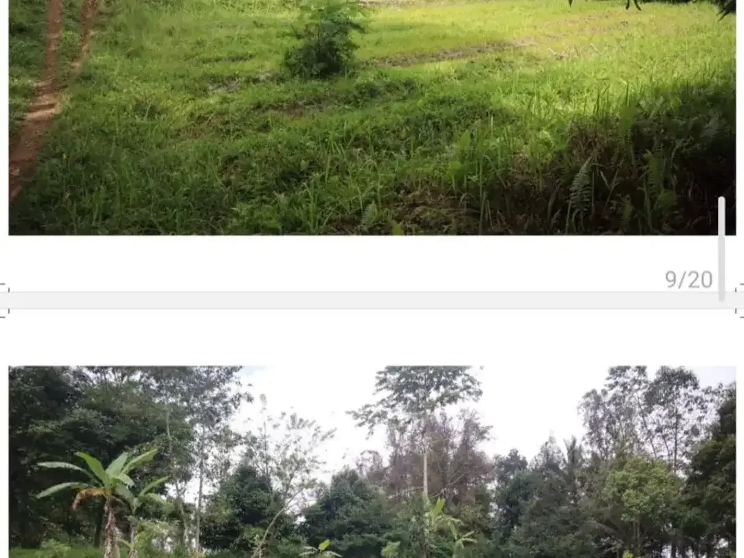 DIJUAL TANAH cocok bagi yang suka alam dan ketenangan - Image 4 of 6
