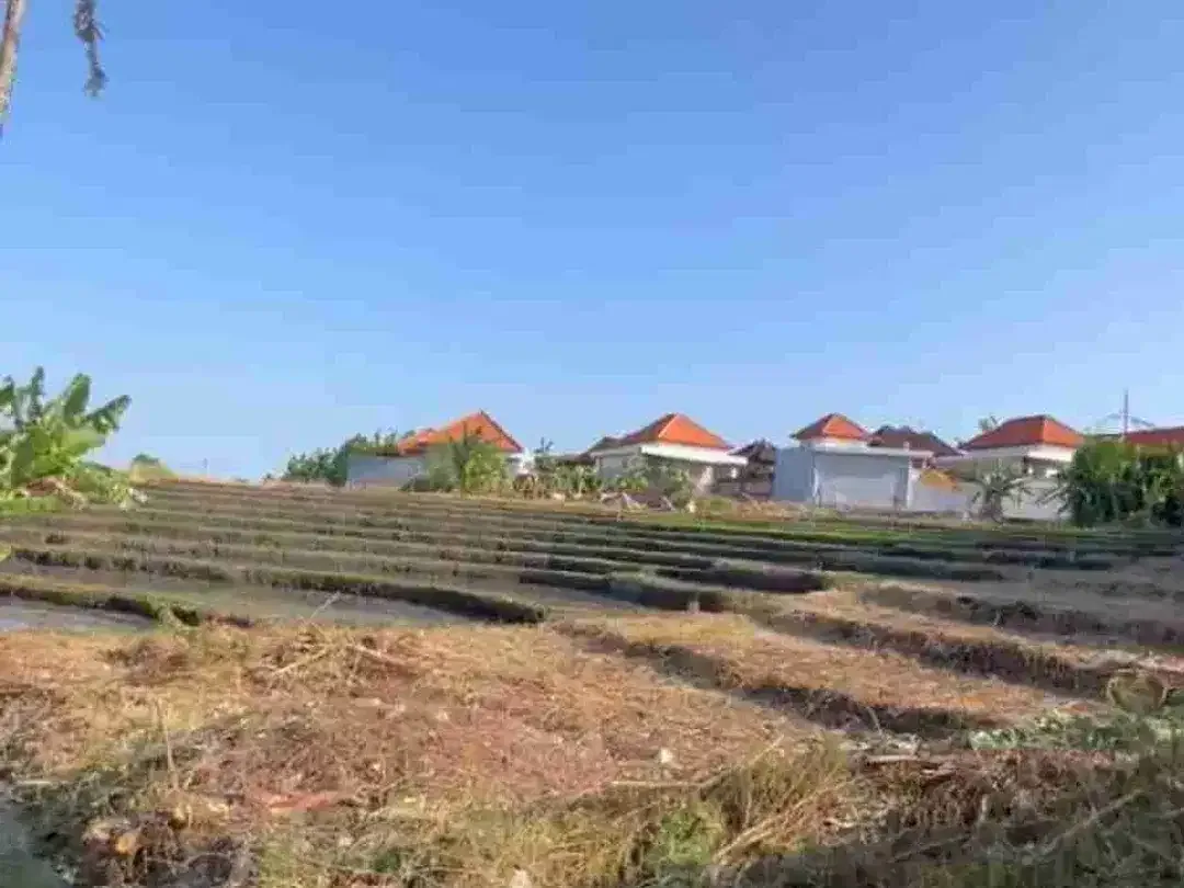 SALE!! TANAH PREMIUM VIEW SAWAH 450m² Jl.UTAMA SUBAK DAKSINA CANGGU - Image 1 of 6