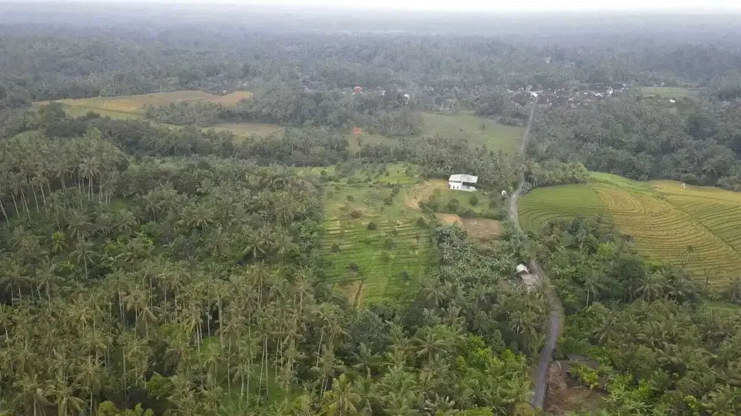 Kebun Durian View Sawah Terasering di Tabanan - Image 2 of 10