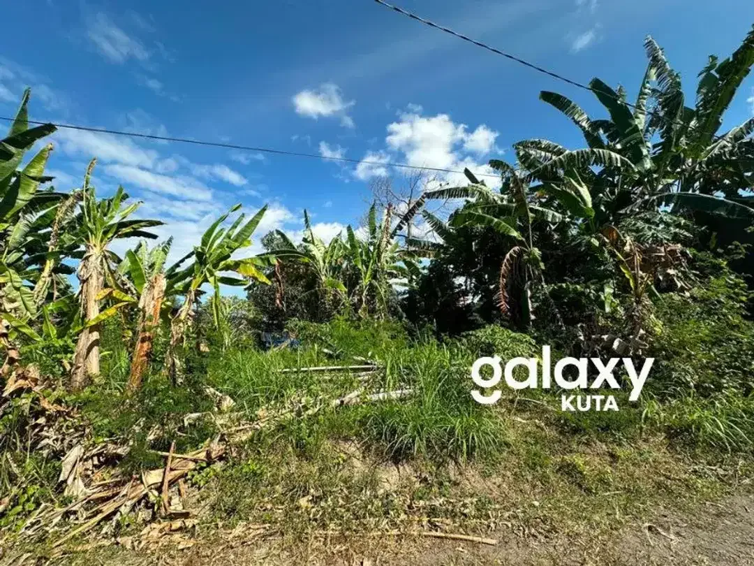DIJUAL TANAH VIEW SAWAH DEKAT PANTAI KERAMAS DI AURA PERING GIANYAR - Image 2 of 6