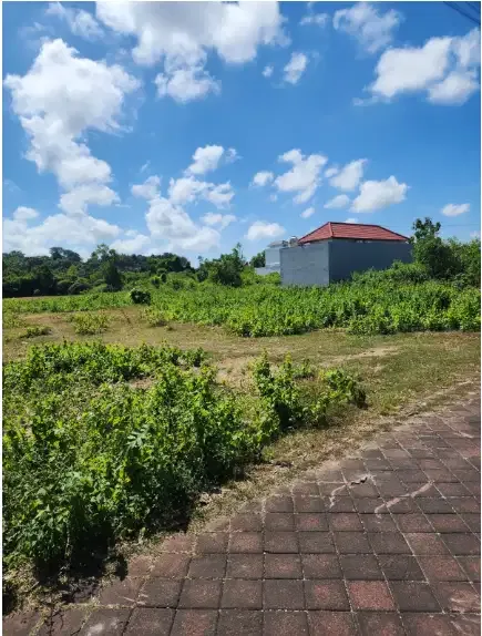 Land for lease at ungasan - Image 4 of 10