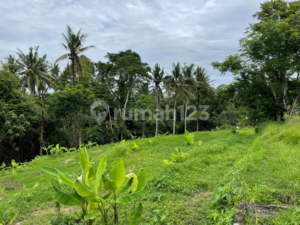 Lahan View Sungai,Sawah dan Junggle Lokasi Singapadu Ubud Gianyar - Image 2 of 4