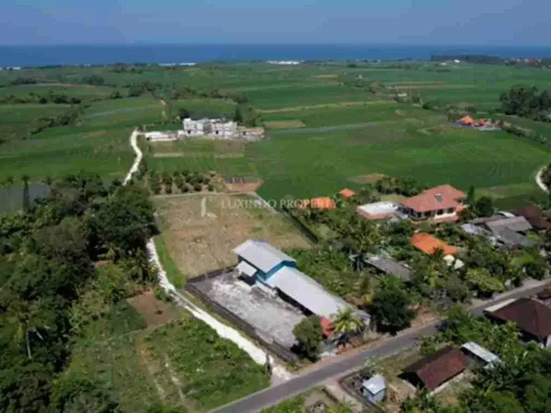 Di jual tanah murah di Tabanan dekat pantai pasut sangat cocok untuk komplex villa - Image 3 of 5