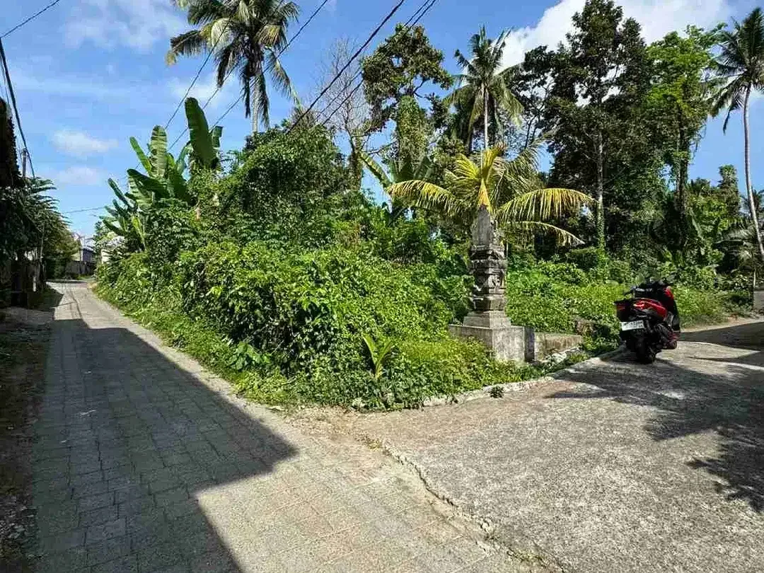 Tanah Strategis di Kedewatan Ubud Cocok untuk Vila dan Investasi - Image 5 of 10