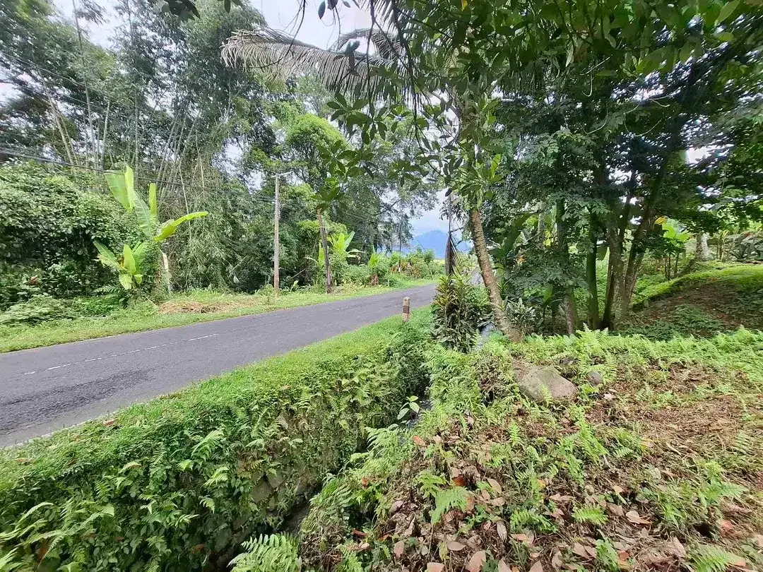 tanah luasan kecil view sawah dapat akses jalan utama penebel - Image 8 of 8