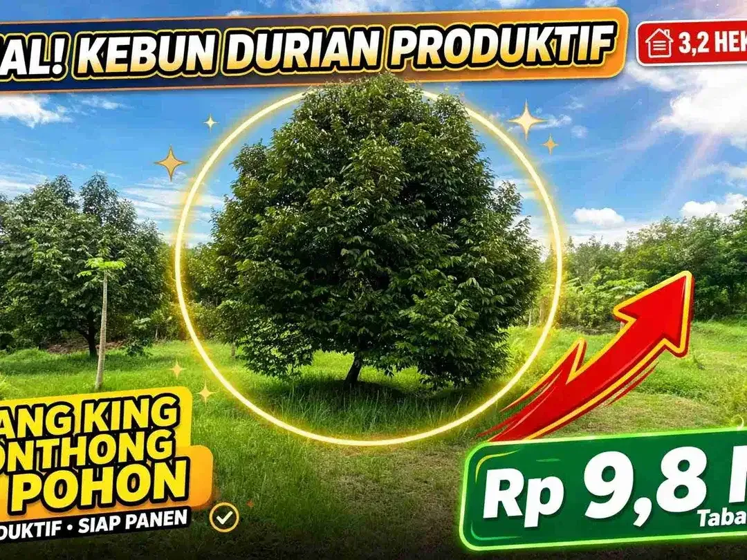 Jual kebun durian premium harga murah view bagus di tabanan bali. - Image 1 of 10