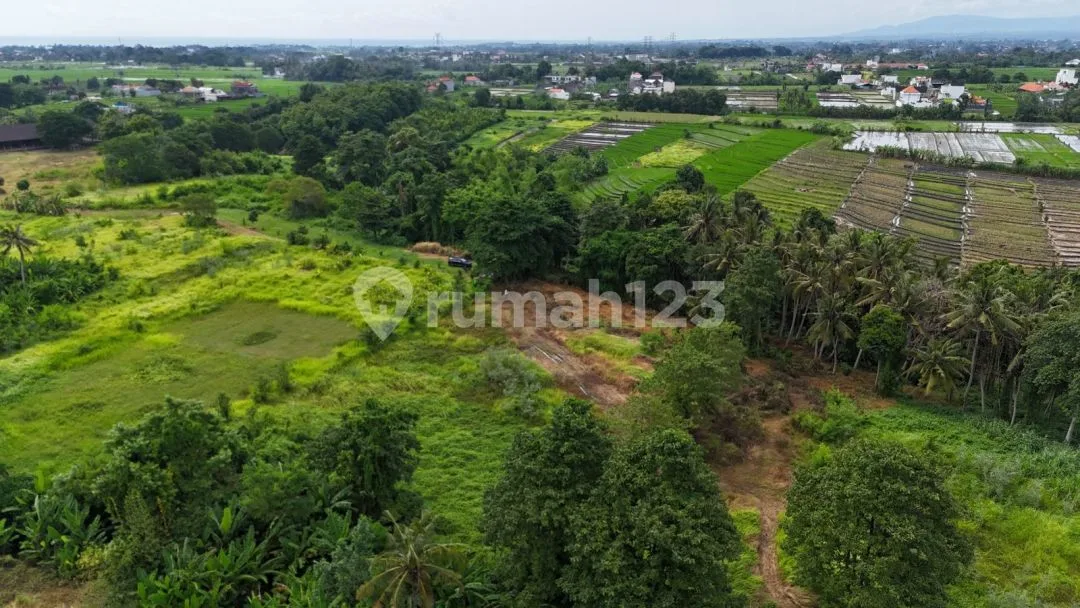 Dijual Tanah Los Sungai, View Sawah di Area Tanah Lot Tabanan - Image 2 of 4