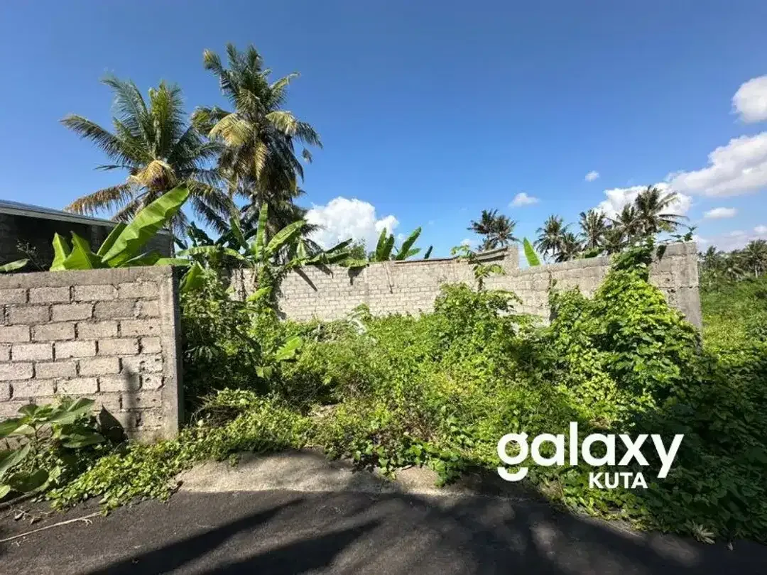 DIJUAL TANAH CEPAT DI BURUAN GIANYAR - Image 3 of 6