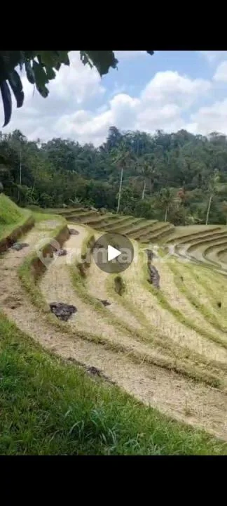 Tanah Tabanan Batokaro Wongaya - Image 2 of 4