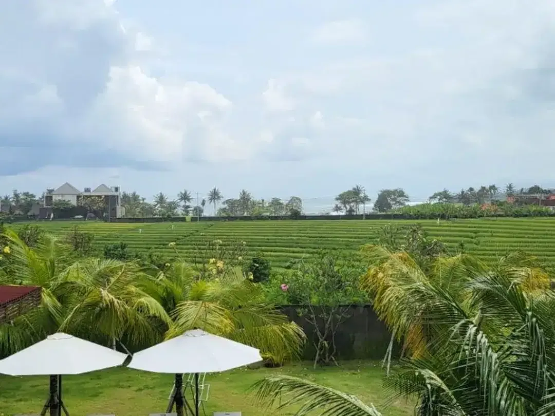 Villa View Sawah Cemagi Mengwi Badung Bali - Image 10 of 10