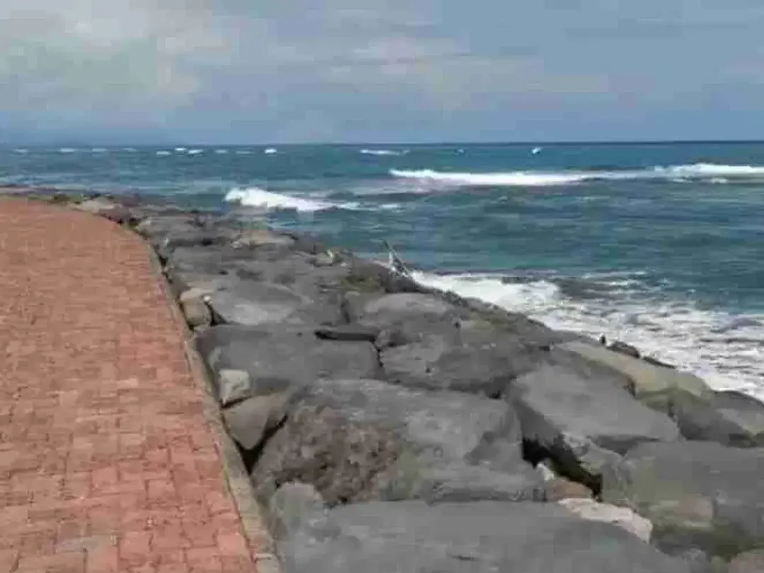Tanah Murah Los Pantai Ketewel 1975m2 SHM - Image 7 of 10
