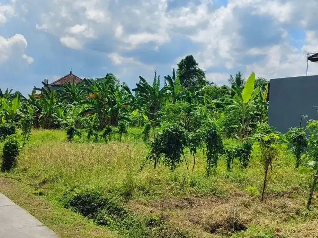TANAH 2 ARE COCOK UNTUK RUMAH VILLA DEKAT YEH GANGGA TABANAN - Image 1 of 5