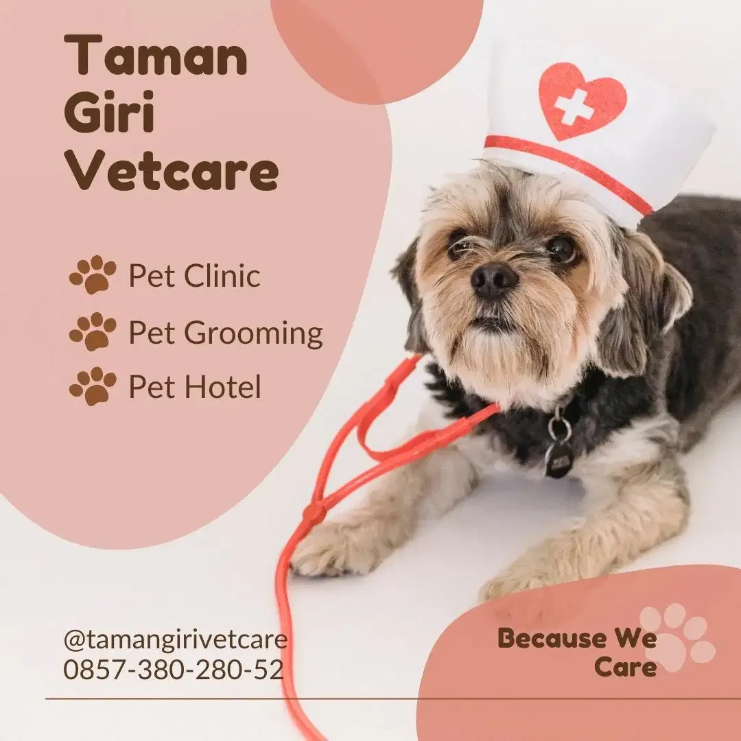 Dokter Hewan dan Petshop di Jimbaran Nusa Dua vaksin steril kastrasi - Image 1 of 1