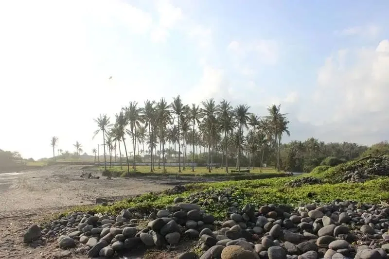 JUAL TANAH LUAS LOS PANTAI BERABAN TABANAN BALI - Image 9 of 10