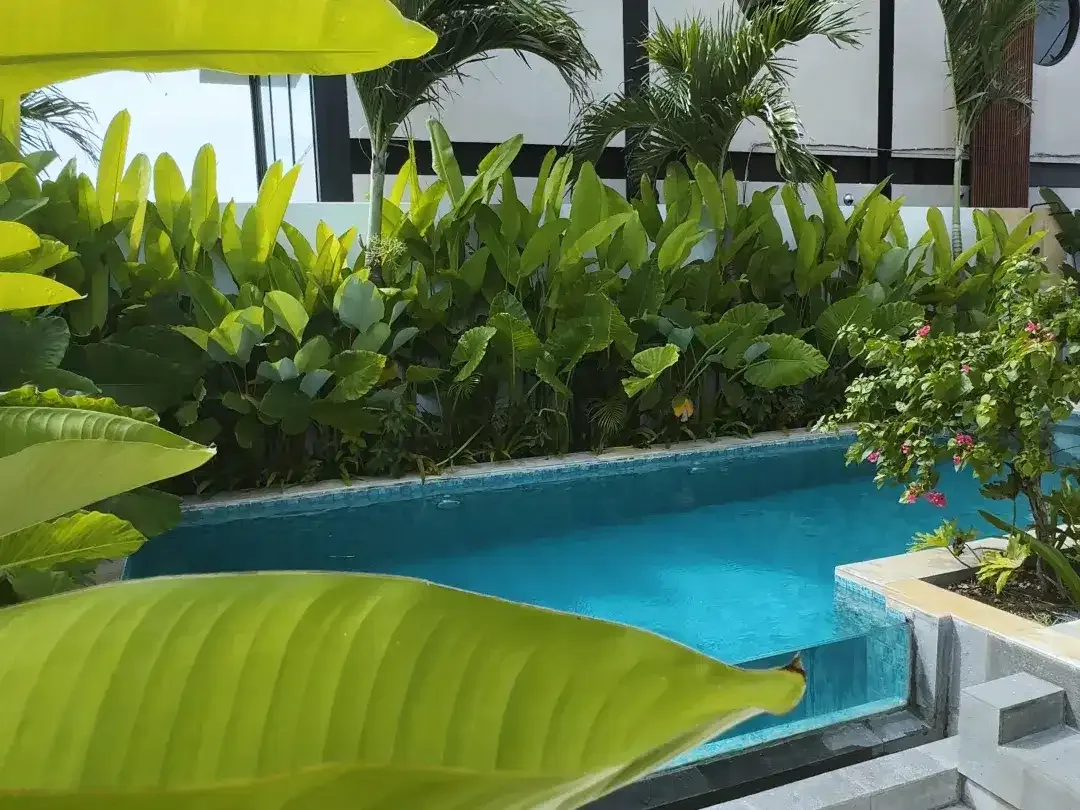 4 Bedroom Villa for sale in Pantai Lima, Bali - Image 3 of 7