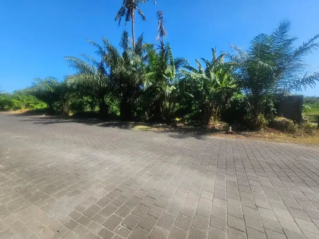 Tanah view sawah Greenlot munggu - Image 5 of 10