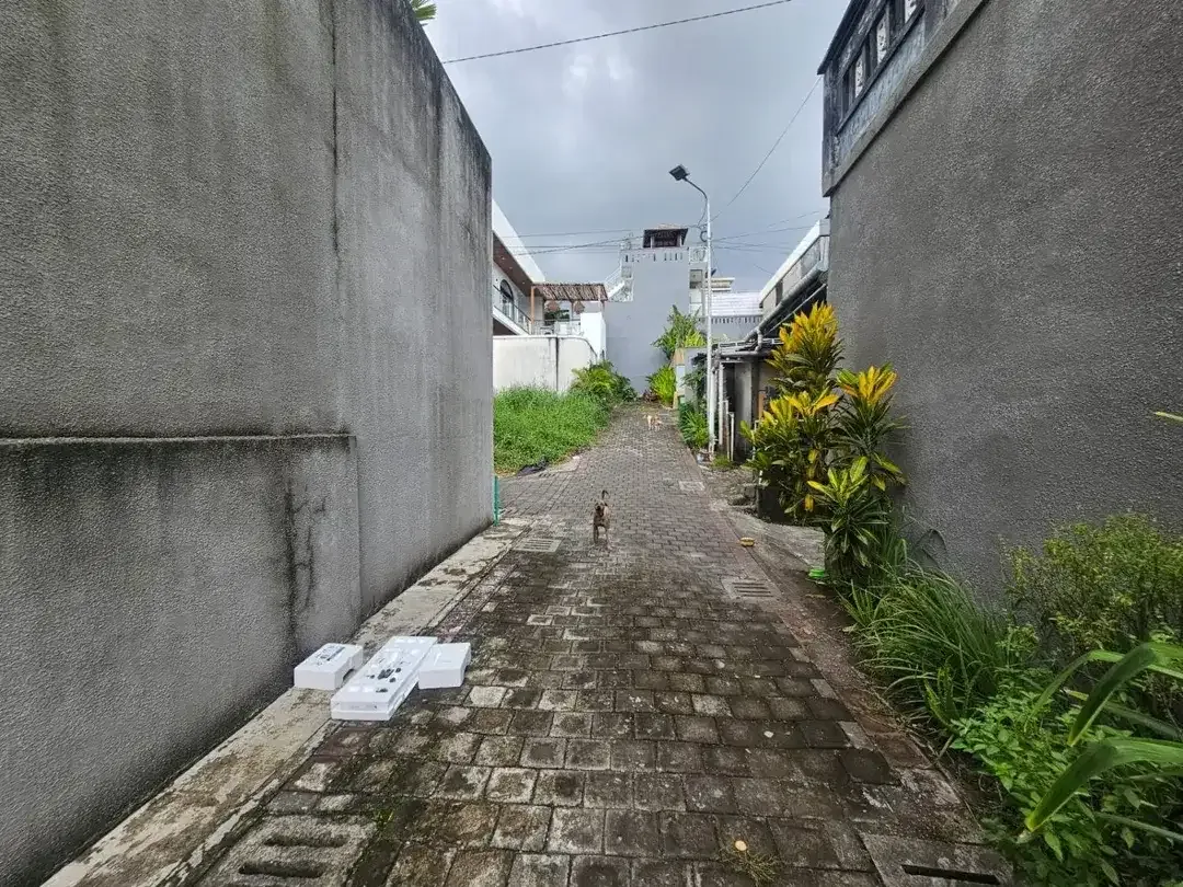 Tanah view sawah buduk mengwi - Image 3 of 8