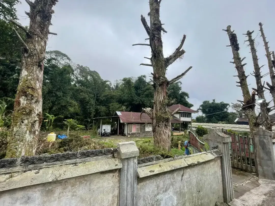 PREMIUM LAND IN THE HEART OF BEDUGUL - Image 4 of 10