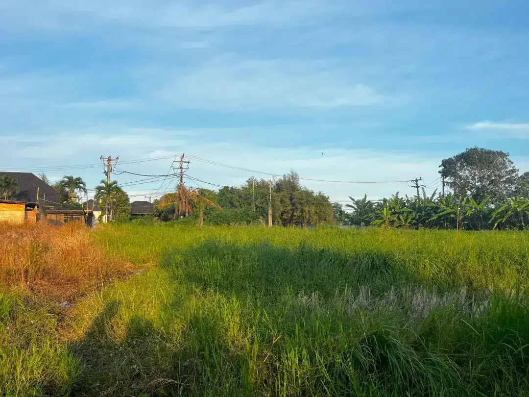 Land for sale in Mengwi, Bali - Image 1 of 4