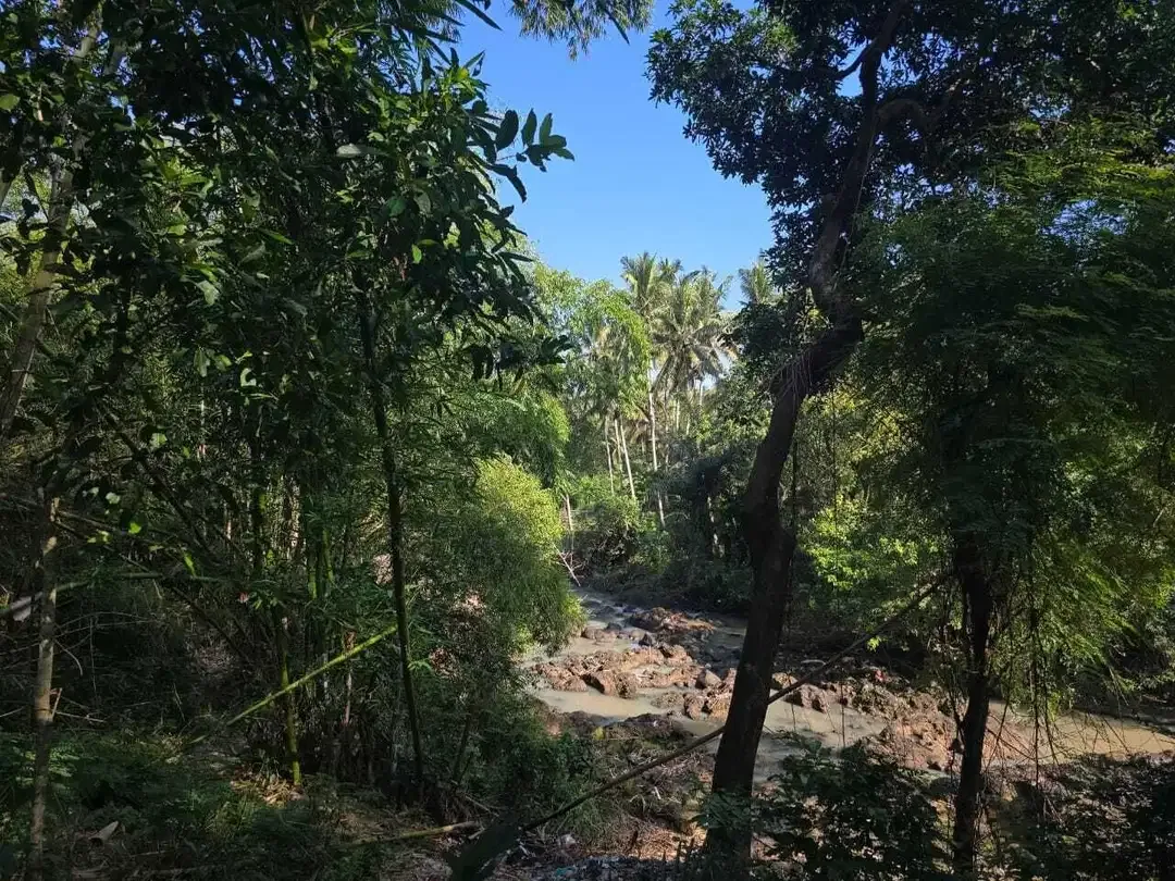 Dijual tanah los sungai di selamadeg tabanan - Image 2 of 8
