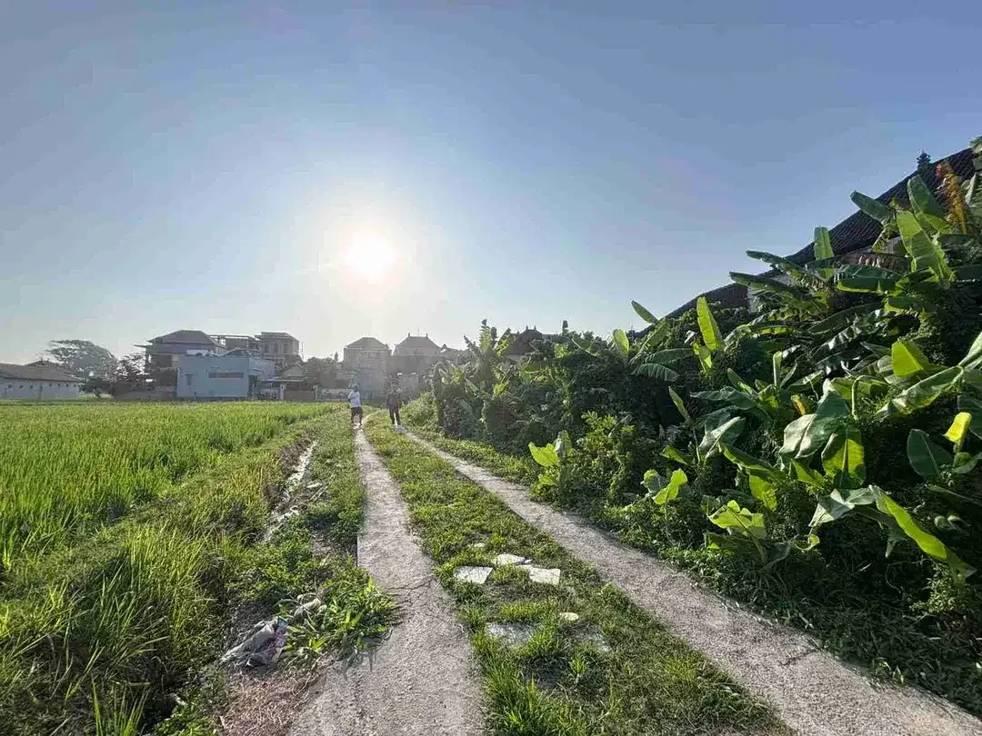 dijual Tanah Plot kecil sangat langka dengan view sawah di Ketewel, Sukawati. - Image 3 of 10