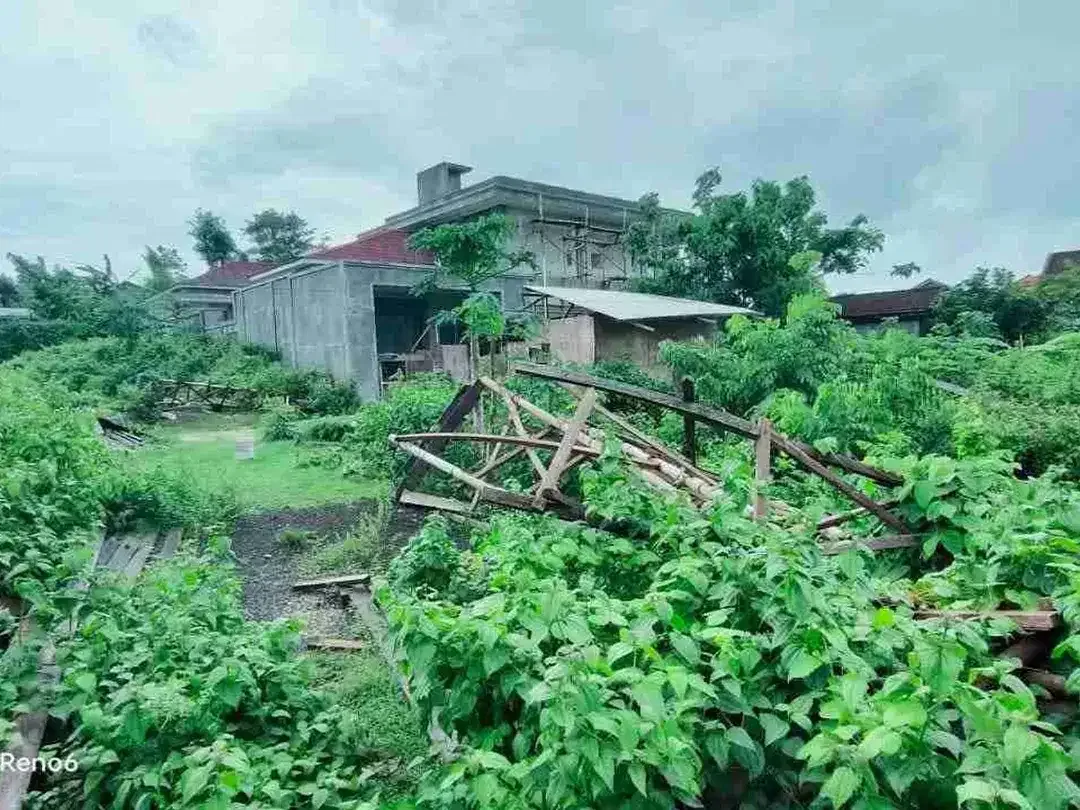 dijual tanah murah 6,19 are harga nett 325 juta per are dekat SMP negeri 5 Kutuh Kuta Selatan Badung Bali - Image 6 of 6