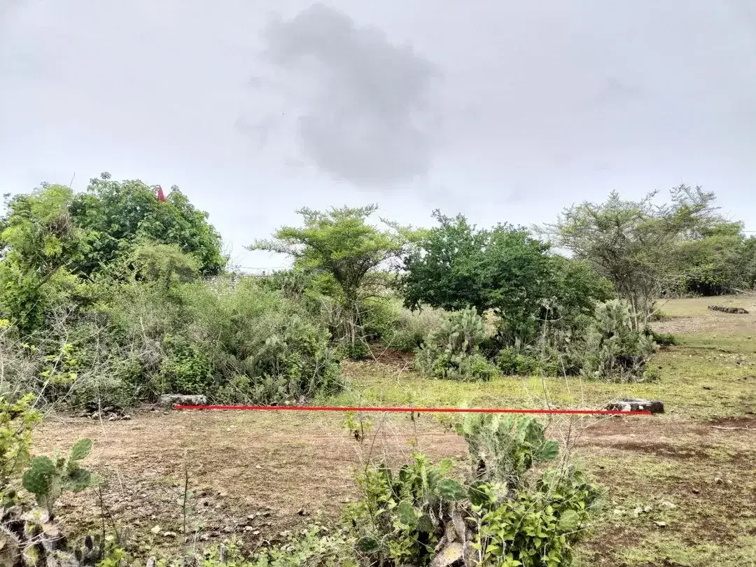 Dijual Tanah MURAH Kawasan Vila di Kutuh - Nusa Dua - Image 4 of 10