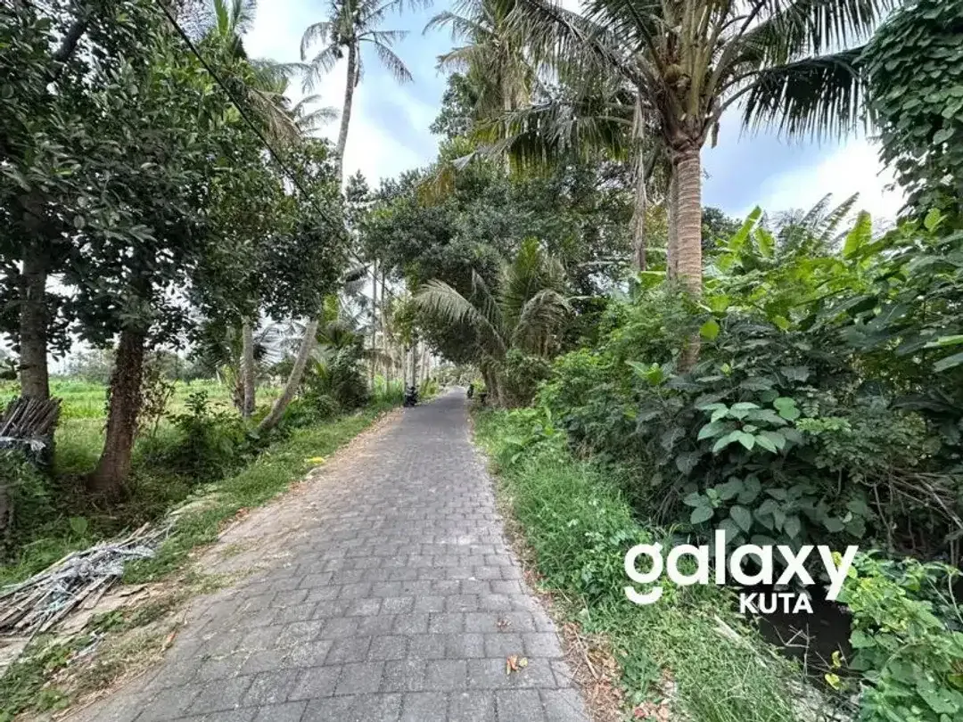 DIJUAL TANAH VIEW SAWAH DEKAT RS KASIH IBU DI TOJAN BLAHBATUH - Image 8 of 10