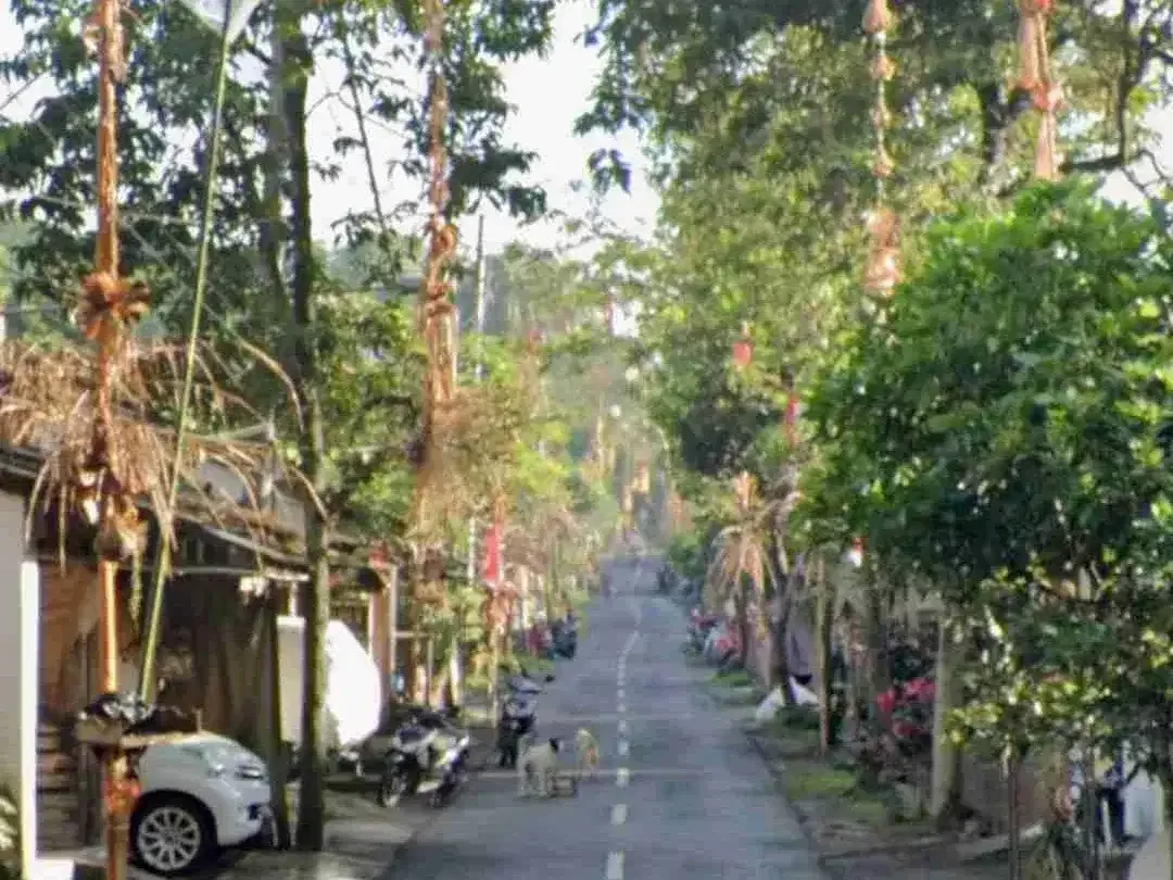 Red Zone Land For Leasehold in Petulu Ubud Bali - Image 4 of 4
