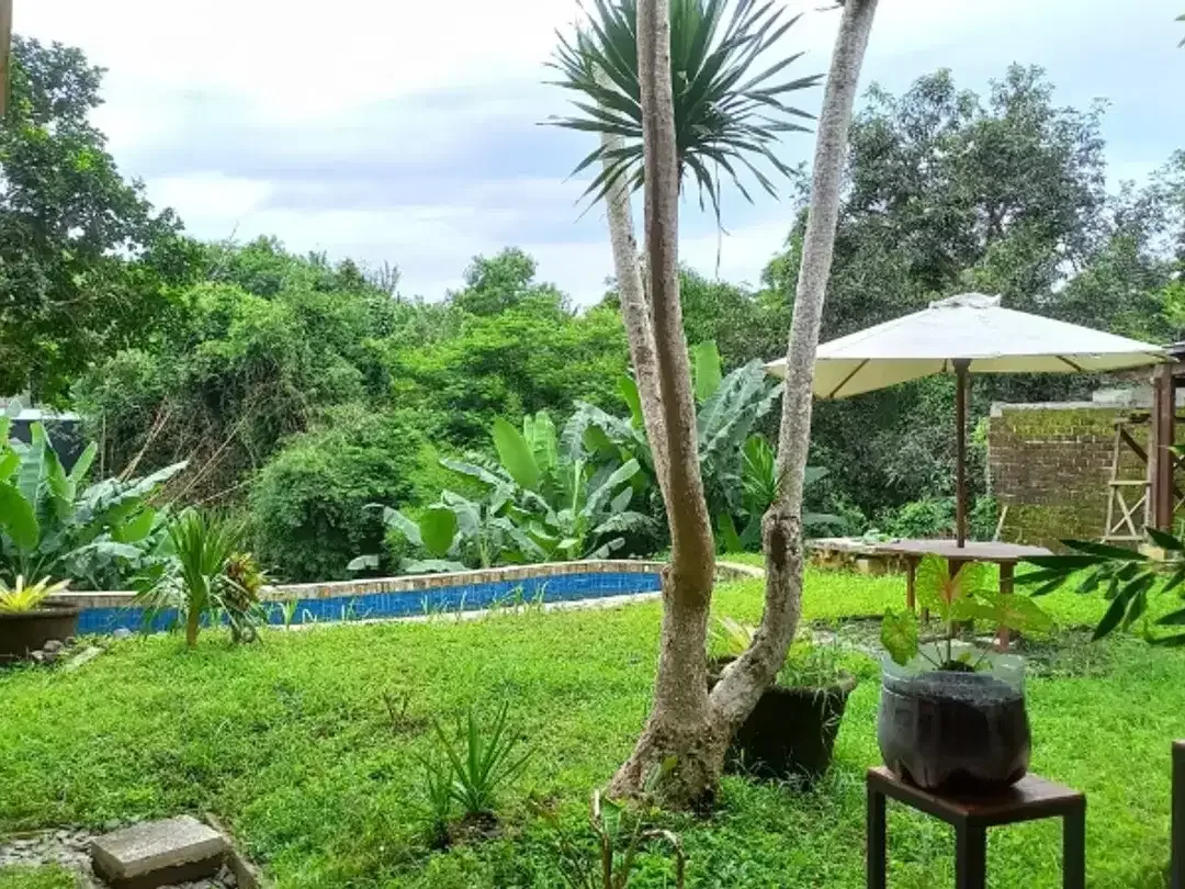 Jual cepat  Rumah style Villa di Lembah Pujian  Denpasar - Image 5 of 9