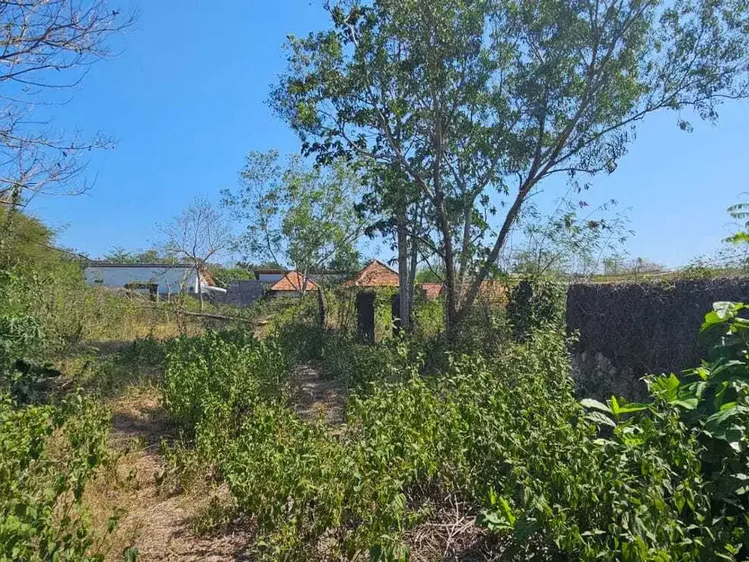 Commercial land of 2000 sqm for sale in the main roadside of Uluwatu, - Image 4 of 9